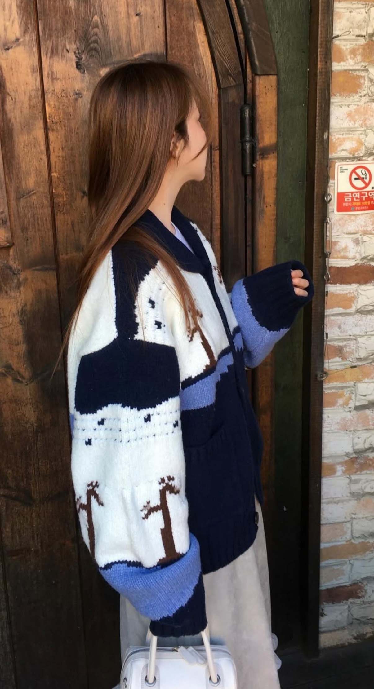 BS韓國復古圖案針織開衫