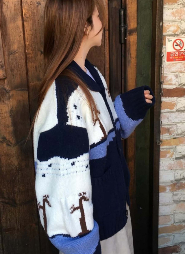 BS韓國復古圖案針織開衫