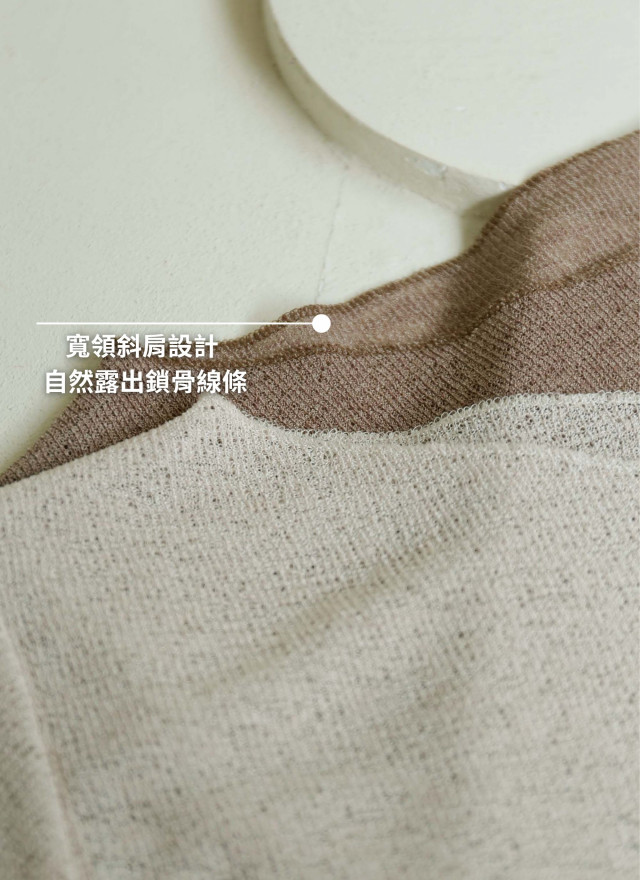 BS韓國美人斜肩上衣(兩色)