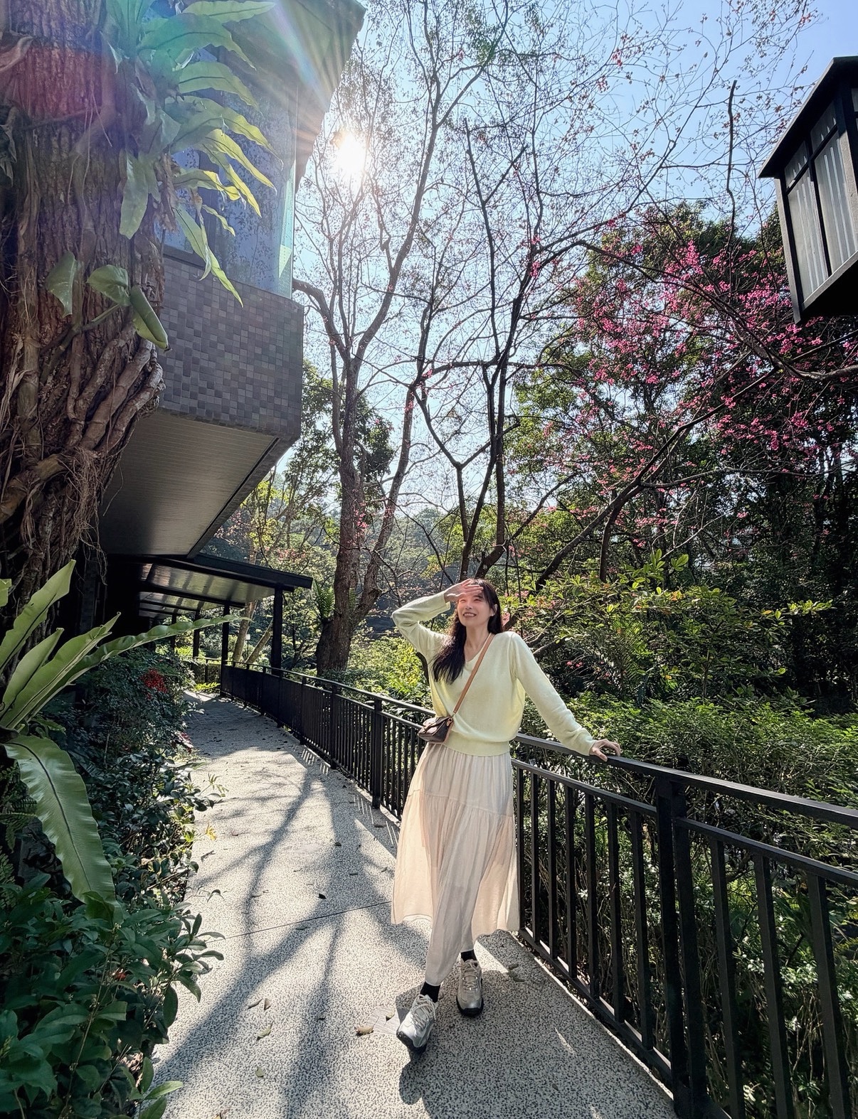 BS柔色V領針織上衣(三色)