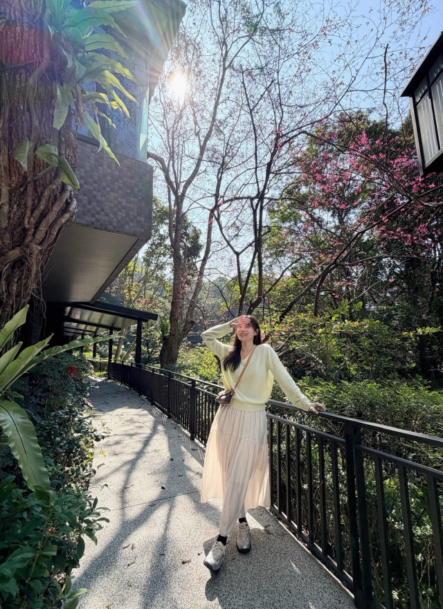 BS柔色V領針織上衣(三色)