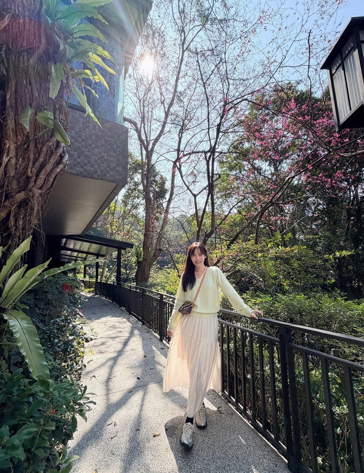 BS柔色V領針織上衣(三色)