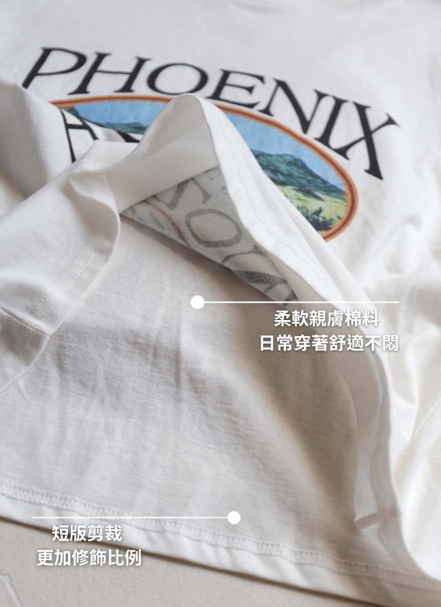 BS韓國菲妮印花短Ｔ(兩色)