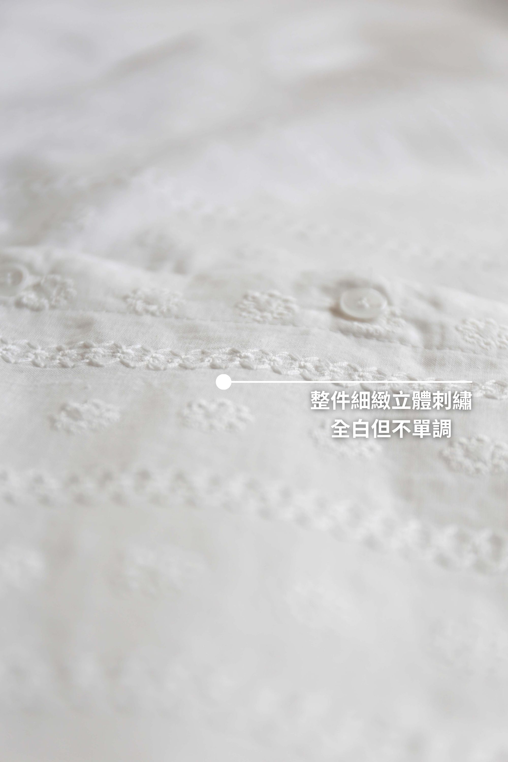 BS韓國瑞恩鏤空刺繡襯衫